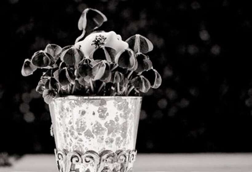 בית מלון כפרי Mountain & Soul