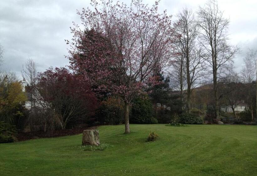 בית מלון כפרי Raheen House