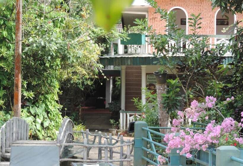 فندق Rainforest Lodge