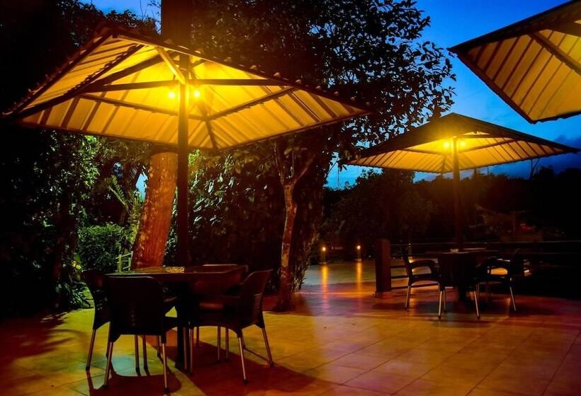 فندق Rainforest Lodge