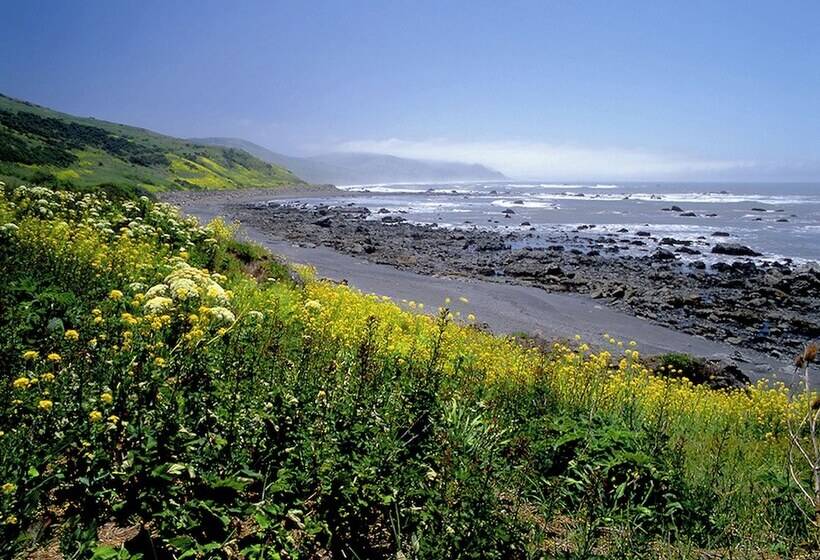 בית מלון כפרי Redwood Suites