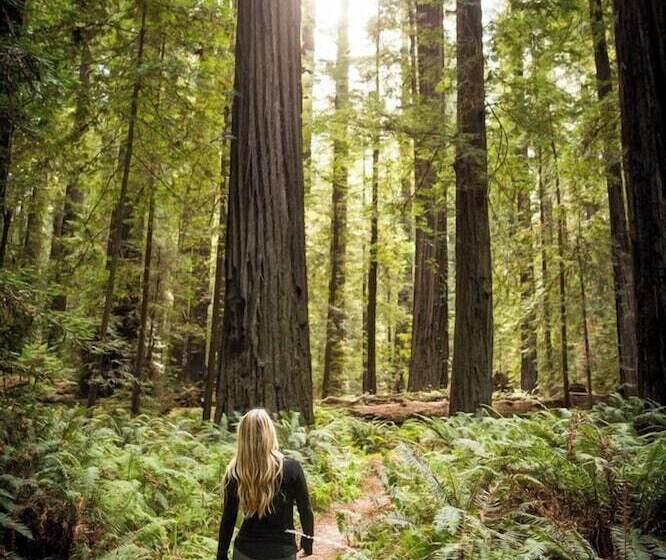 בית מלון כפרי Redwood Suites