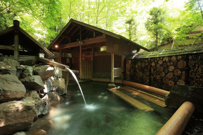 Отель Sakunami Onsen Yuzukushi Salon Ichinobo