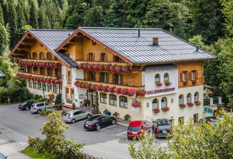 فندق Salzburger Hof