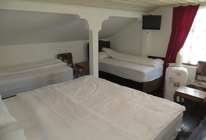 هتل Sebile Hanim Konagi Special Class