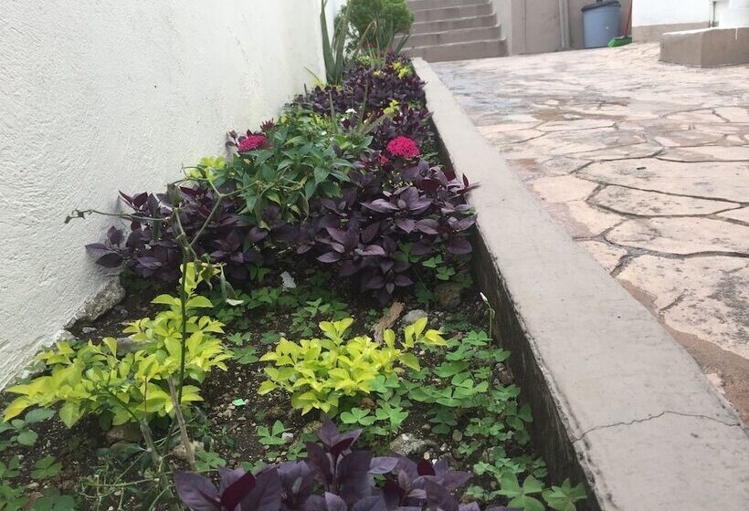 فندق Suites Ripoll Córdoba