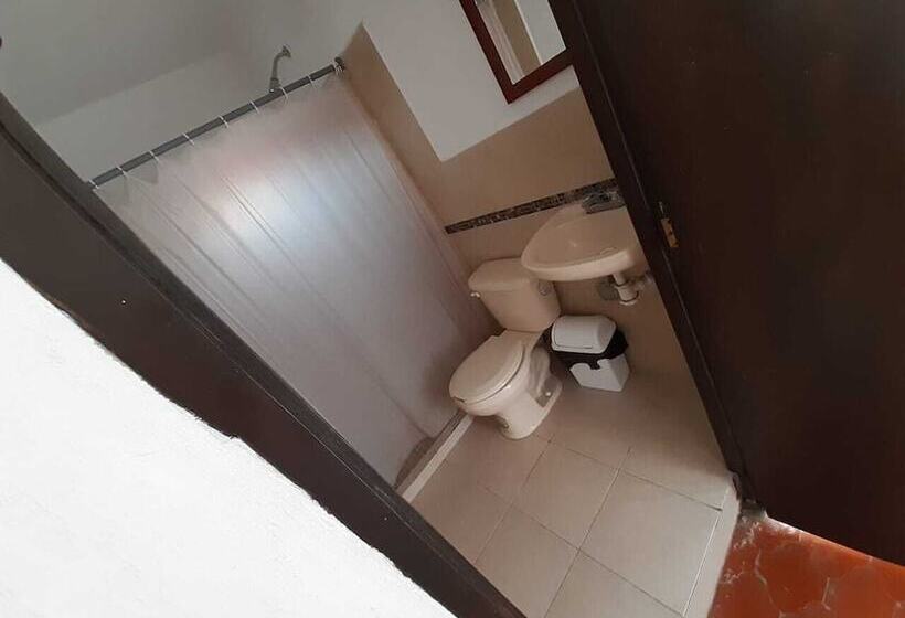 فندق Suites Ripoll Córdoba