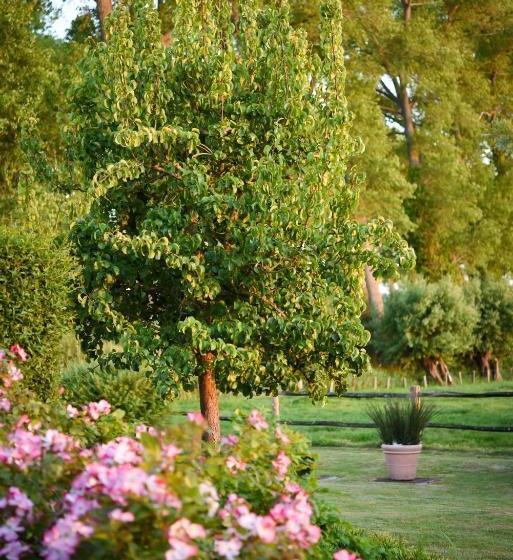 Отель Ter Polders