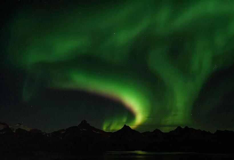 هتل The Red House