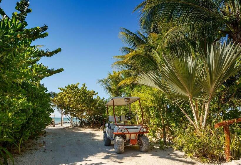 Отель Villas Hm Palapas del Mar