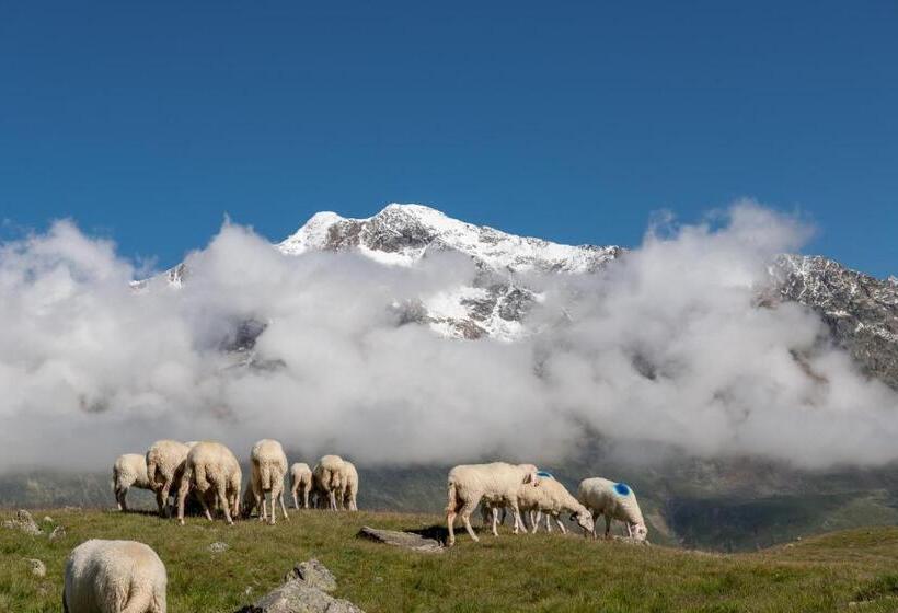 Natur &alpinhotel Post