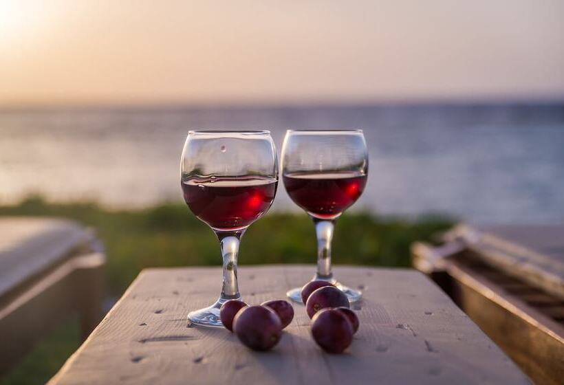 Niki Savvas Studio & Suites