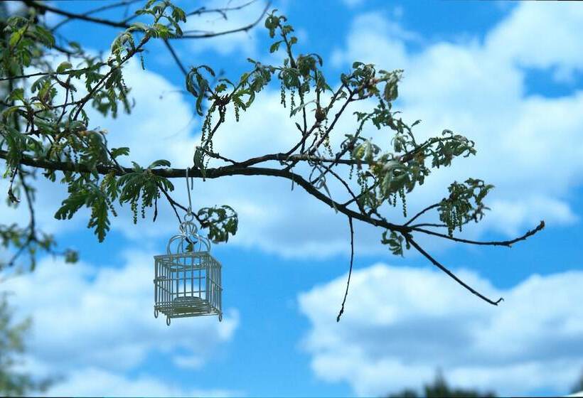 Quinta Do Medronheiro Hotel Rural