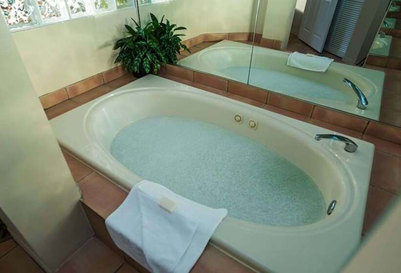 Vacation Village At Bonaventure