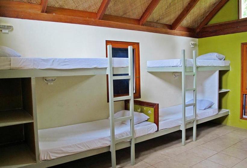 فندق صغير Beachouse Resort