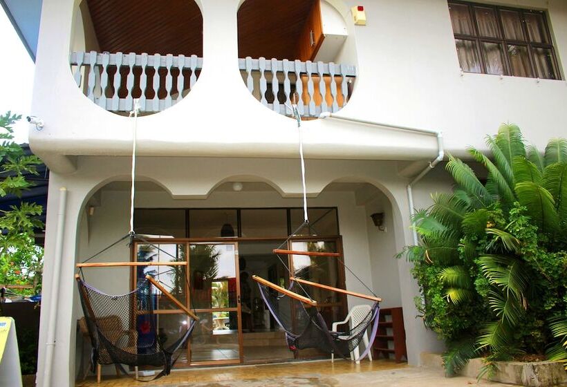 هاستل Bluewater Lodge