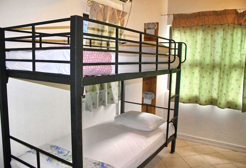 هاستل Bluewater Lodge