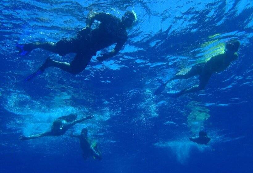 هاستل Bluewater Lodge