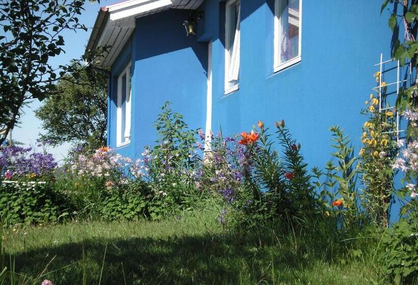 تختخواب و صبحانه Cja Guesthouse