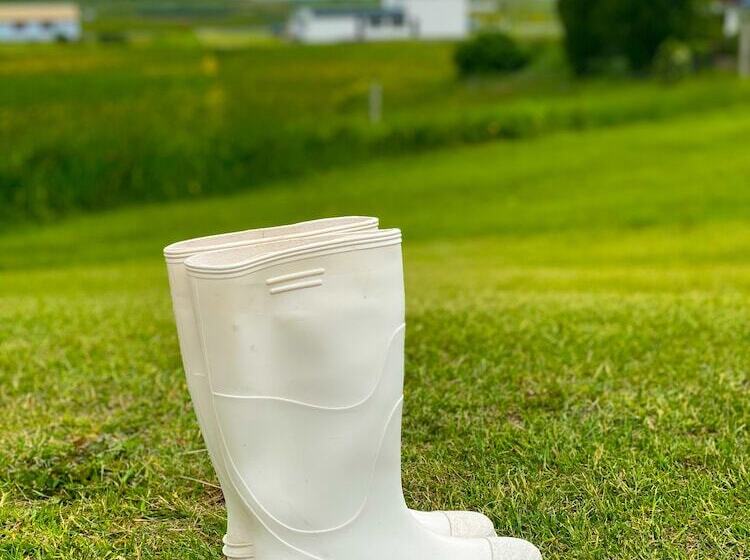 تختخواب و صبحانه Milk Factory