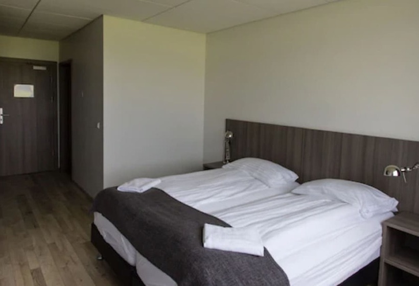 تختخواب و صبحانه Milk Factory