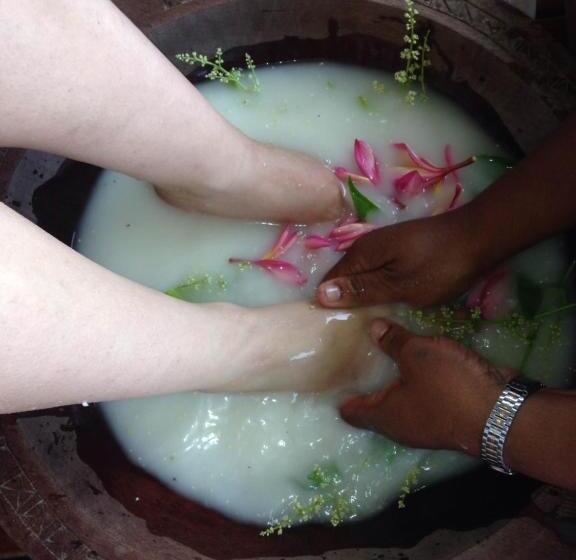 تختخواب و صبحانه Naveria Heights Lodge