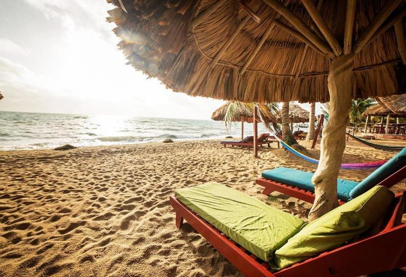 Belizean Dreams Resort