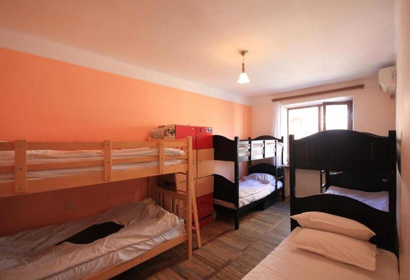 Center Hostel And Tours