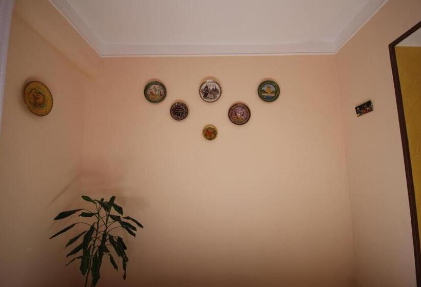 Center Hostel And Tours