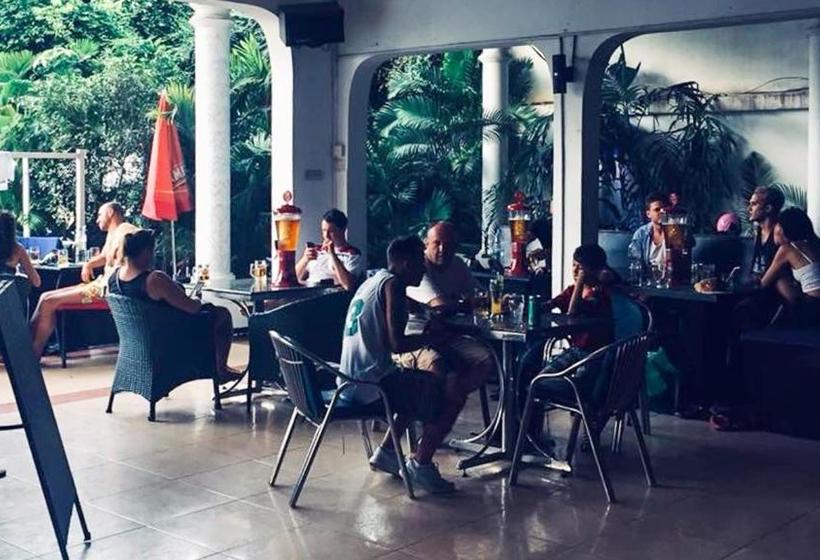 Eighty8 Backpackers  Hostel