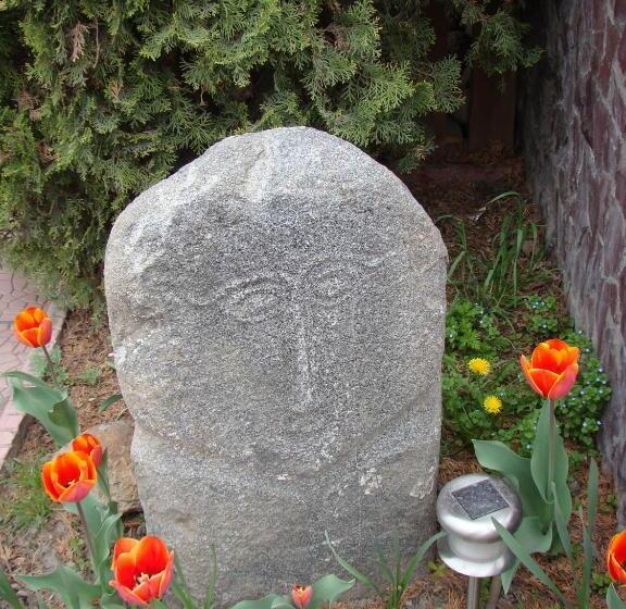 هتل Asian Mountains