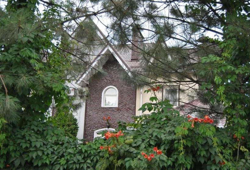 هتل Asian Mountains