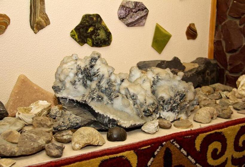 هتل Asian Mountains