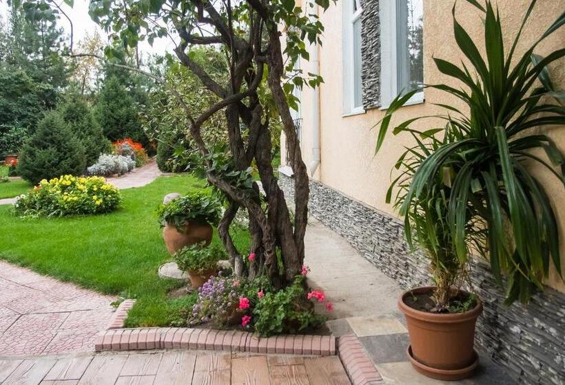 هتل Asian Mountains