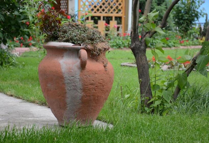 هتل Asian Mountains