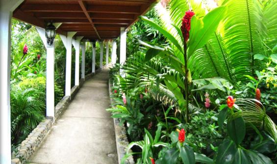 Отель Five Princes