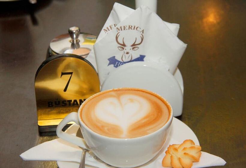 בית מלון כפרי Merica