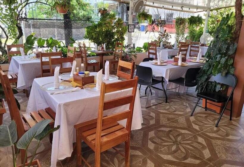 בית מלון כפרי Saint Charles Inn, Belize Central America