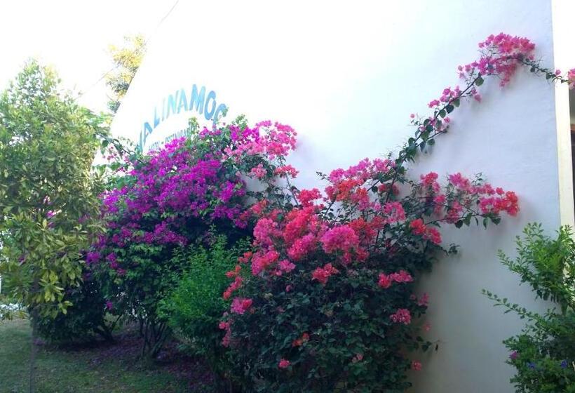 استراحتگاه Palm Malinamoc