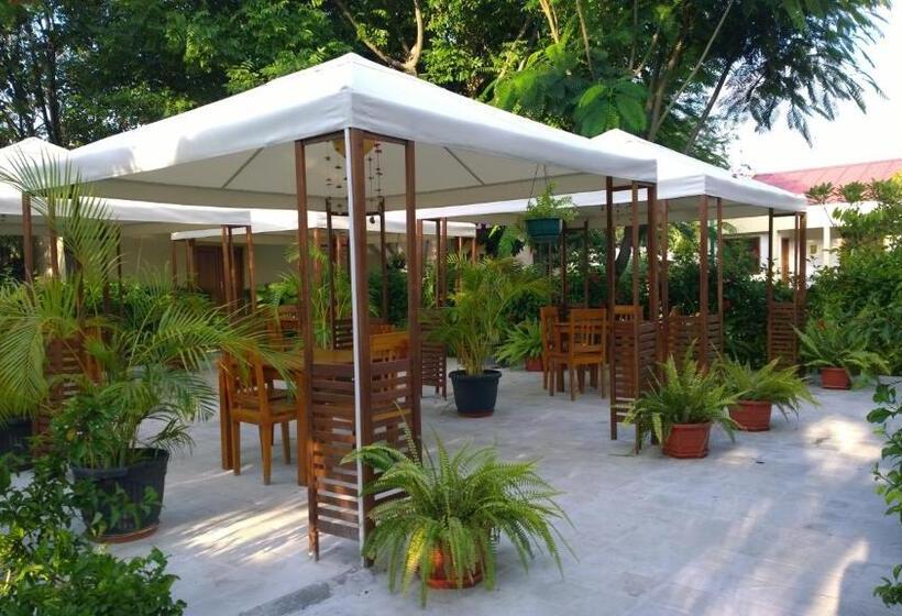 Resort Palm Malinamoc