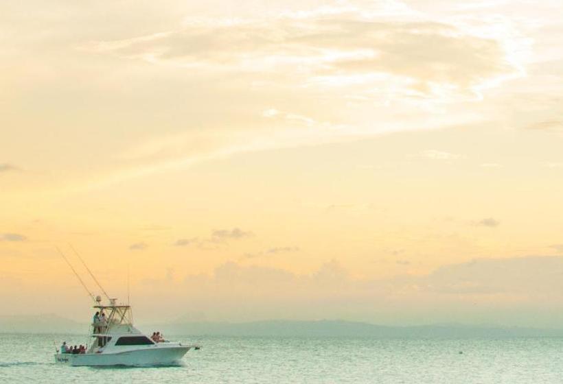 渡假胜地  Royal Belize