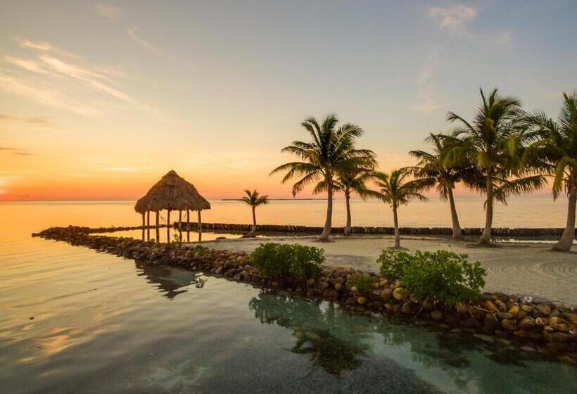 渡假胜地 Royal Belize