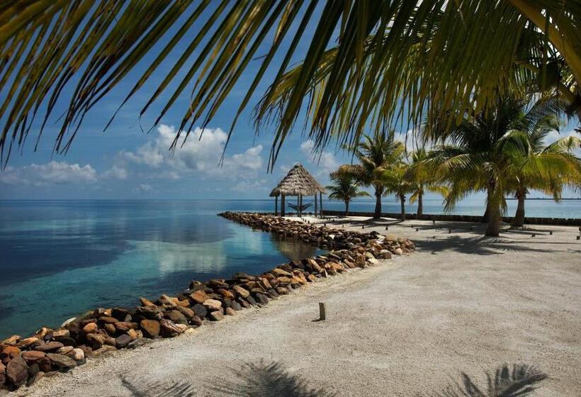 منتجع Royal Belize