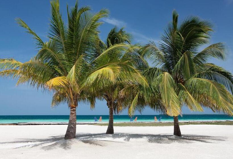 渡假胜地  Royal Belize