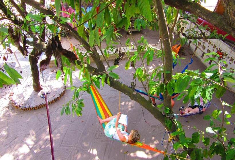 The Funky Dodo Backpackers Hostel