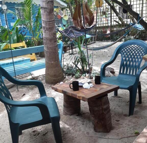 The Funky Dodo Backpackers Hostel