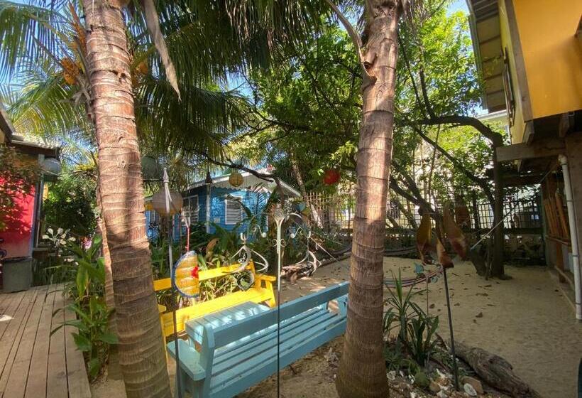 The Funky Dodo Backpackers Hostel