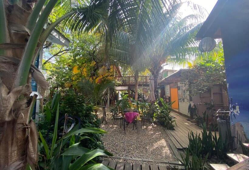 The Funky Dodo Backpackers Hostel