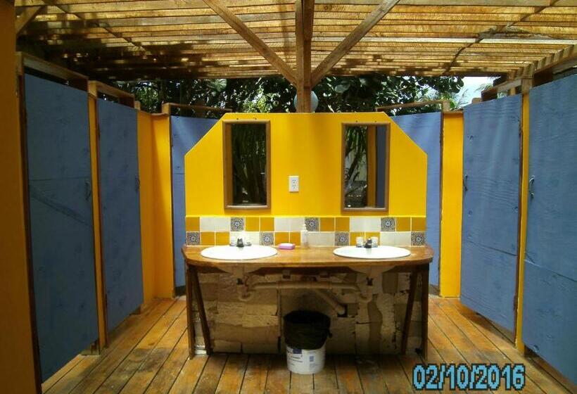 The Funky Dodo Backpackers Hostel