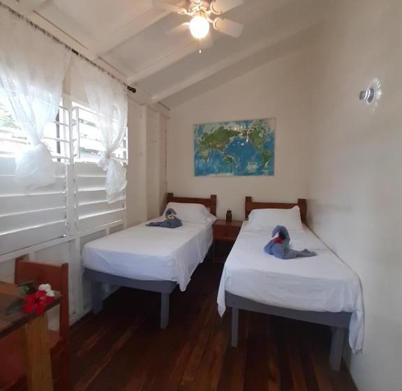 The Funky Dodo Backpackers Hostel